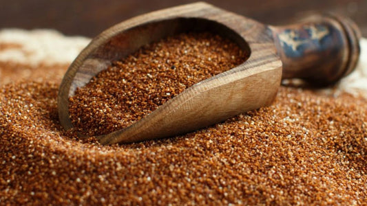 Le teff : un superaliment, sans gluten pour remplacer le café