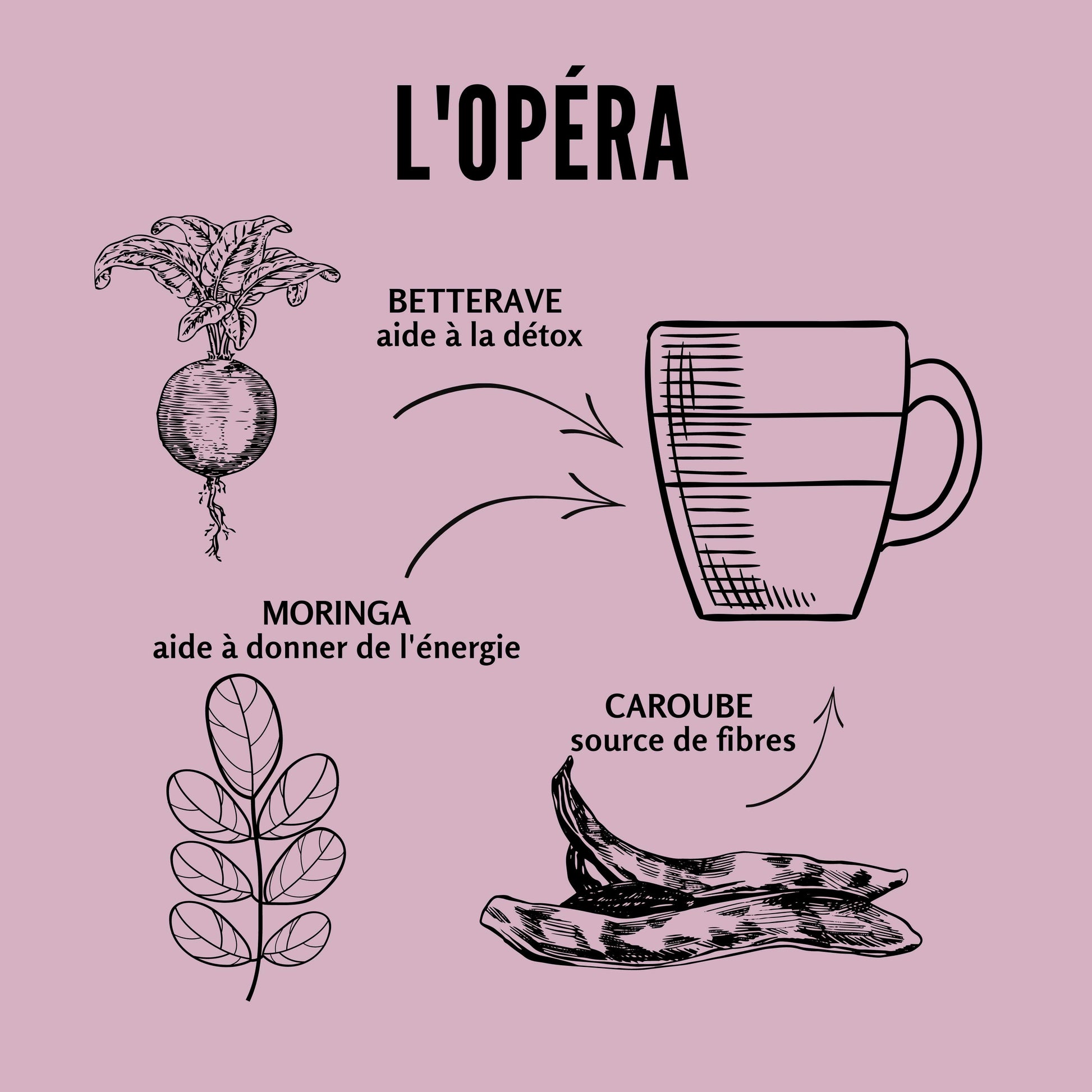 Siffleux - L'Opéra - caroube grillée, cacao biologique, lait de coco biologique, betteraves biologiques, moringa biologique